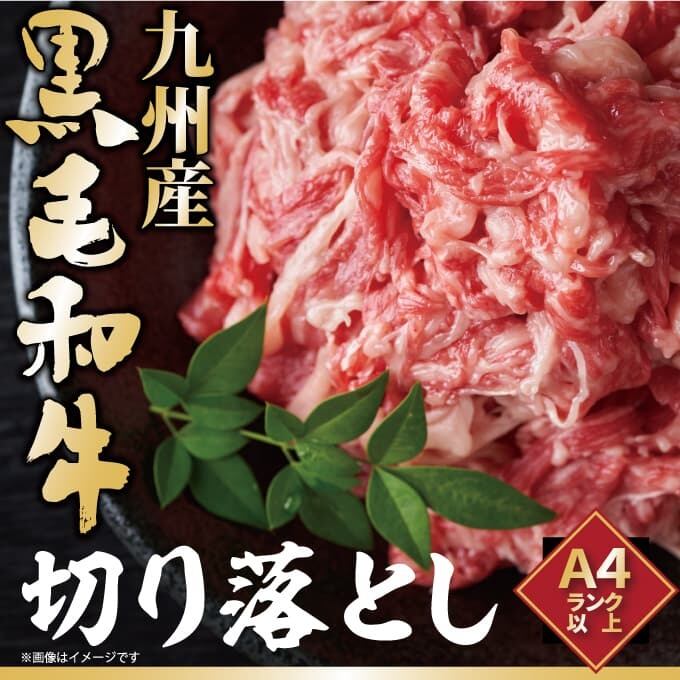 《送料無料》九州産黒毛和牛 切り落とし 1kg(500g×2p)