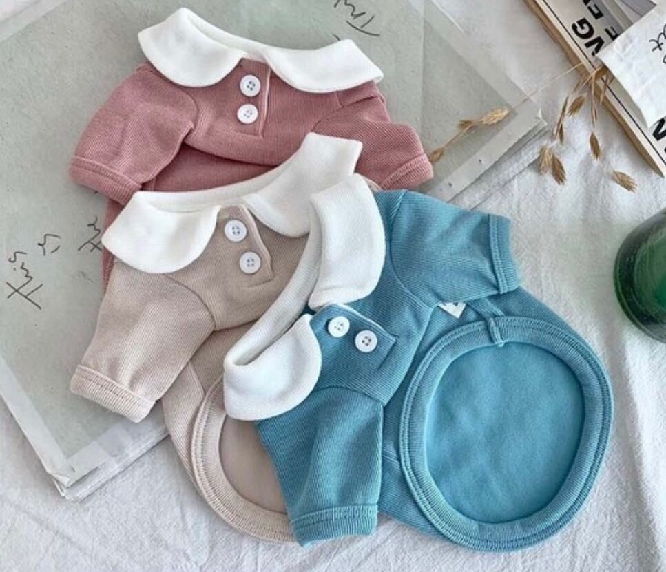 《予約》Z0102 Ivy Neck Collar T-shirt