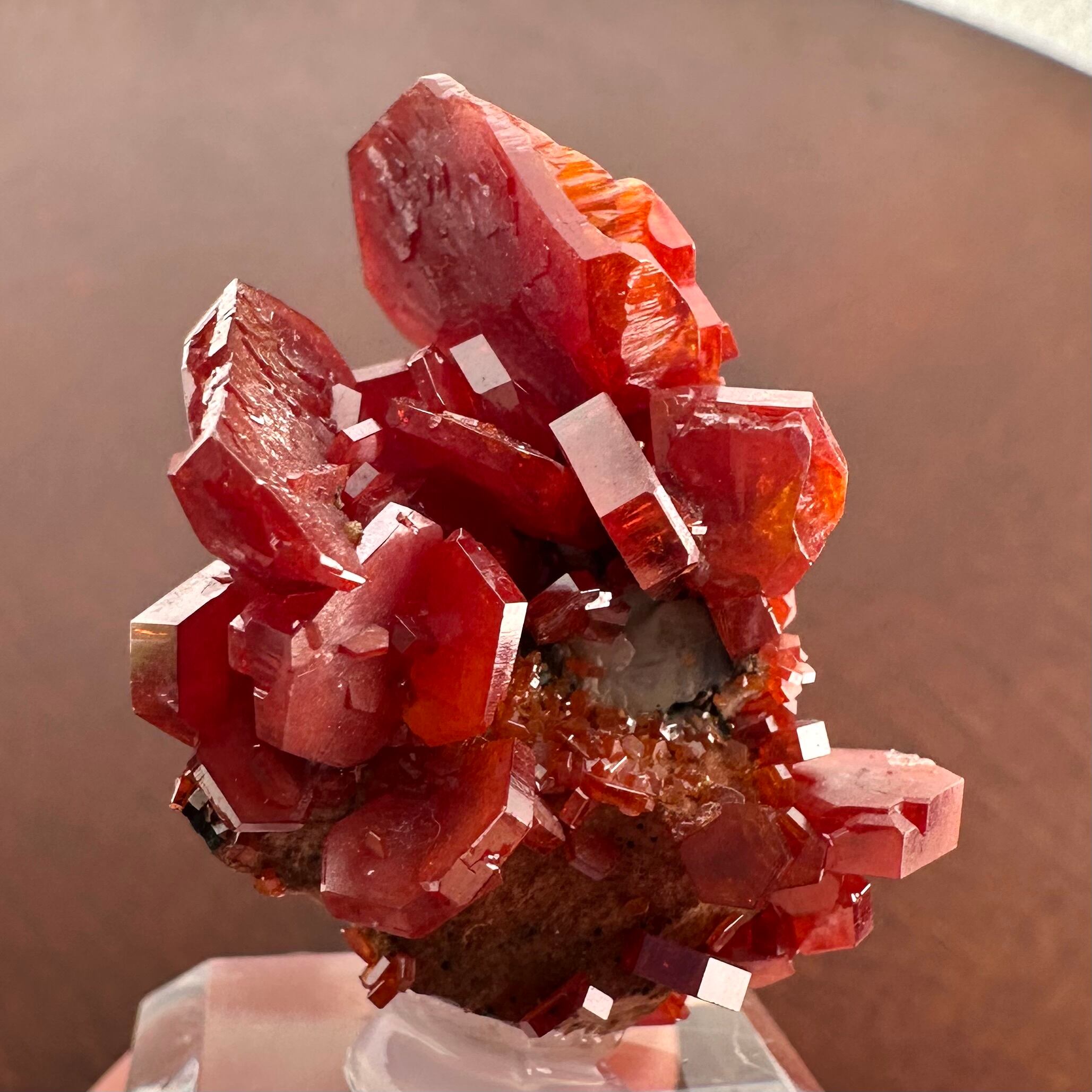 バナジナイト【Vanadinite】モロッコ産 | PEANUTS MINERALS