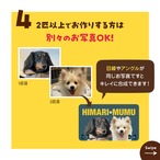 お写真の選び方