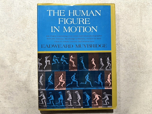 【VO090】The Human Figure in Motion /visual book