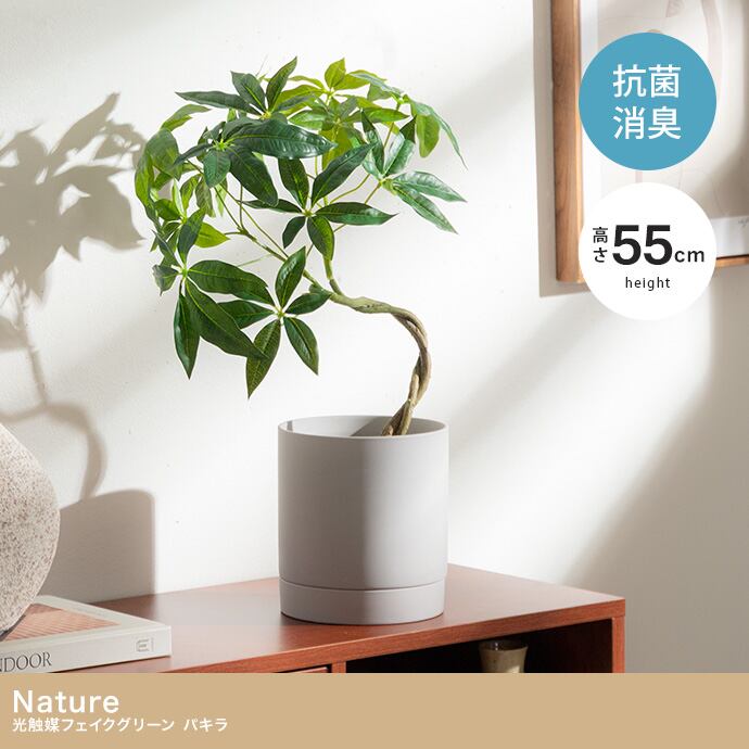 光触媒人工観葉植物 パキラ 幅35cm×奥行35cm×高さ55cm