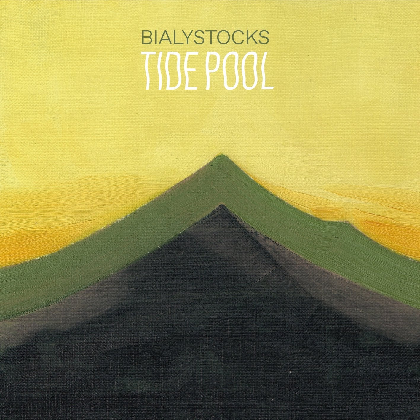Bialystocks / TIDE POOL(12inch EP)