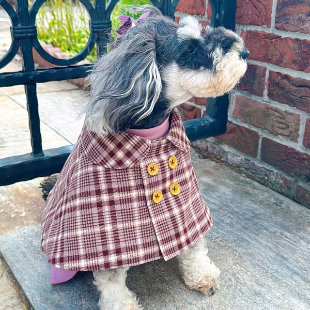 ブリティッシュチェックケープ