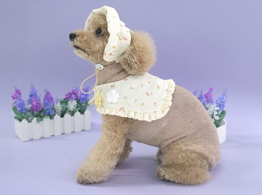 romantic cape & cap set 2color / 犬用 帽子 ケープ バンダナ スカーフ アクセサリー ドッグウェア ペット用 cap 被り物 パーティー インスタ映え お出かけ お揃い 撮影会 キャップハット