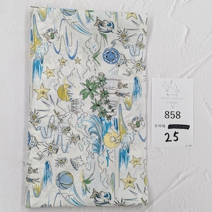 《858》◆輸入 リバティ LIBERTY タナローン カットクロス ハギレ