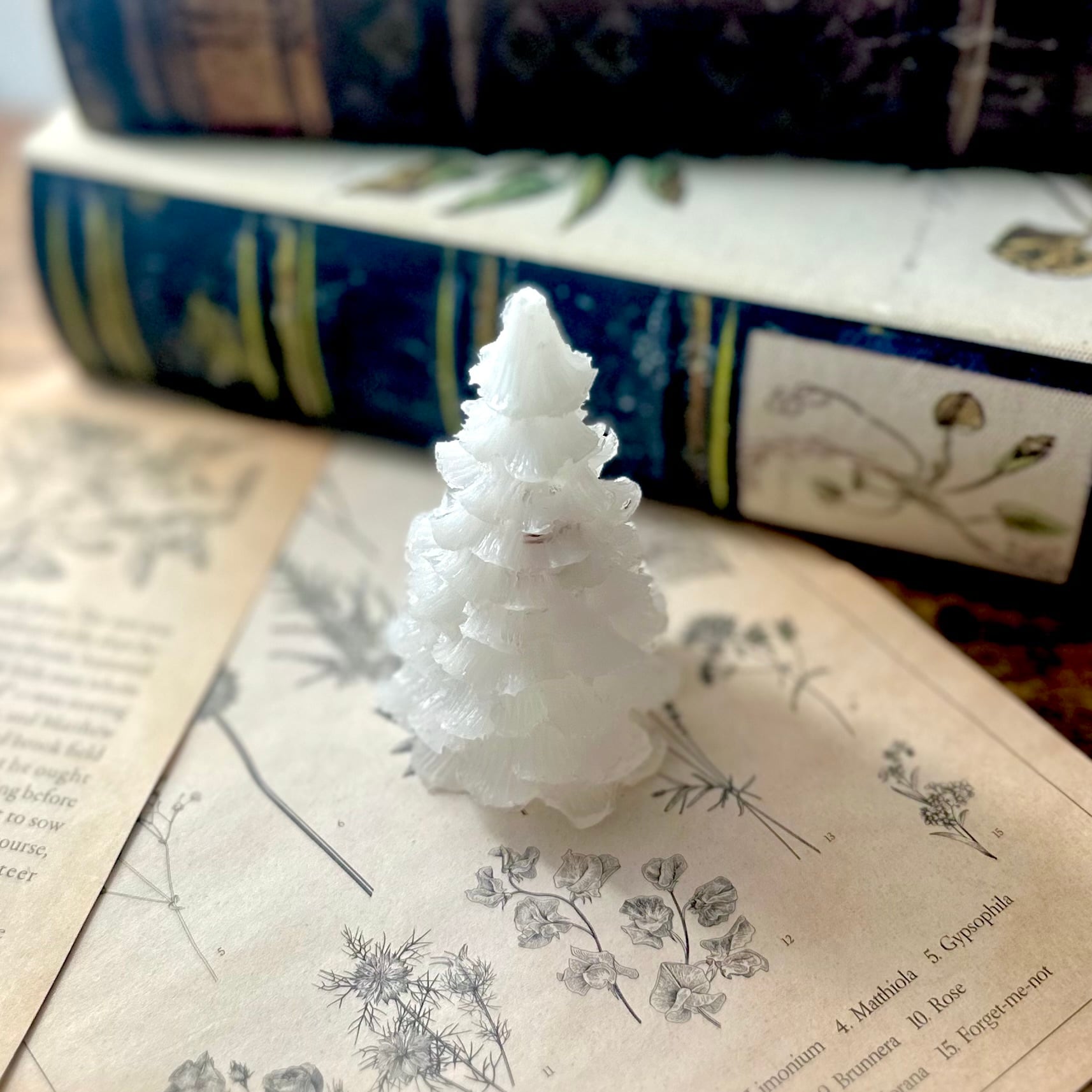 ミニクリスマスツリー》水晶【雪化粧もみの木】一点物オルゴナイト