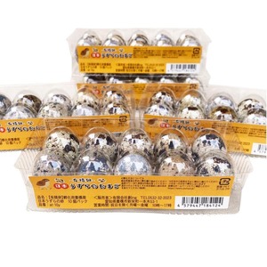 【有精卵】孵化用 豊橋産 日本うずらの卵 10個入り 4パック