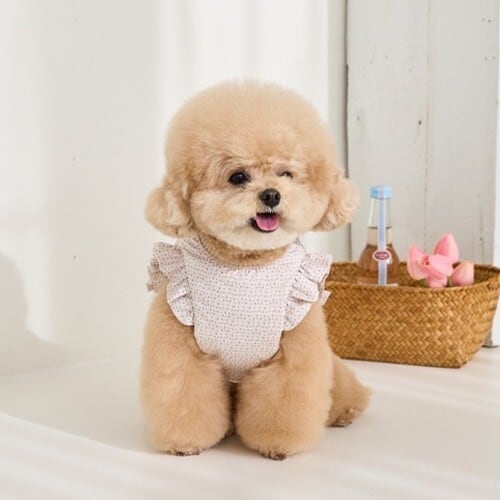 □ Vest | LUANA DOG