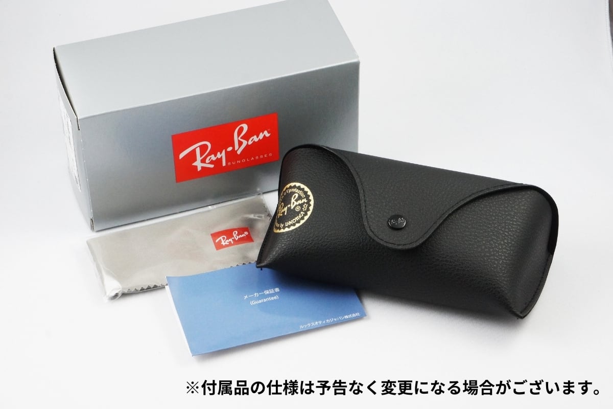 Ray-Ban サングラス RB4392D 601/80 ウェリントン レイバン 正規品