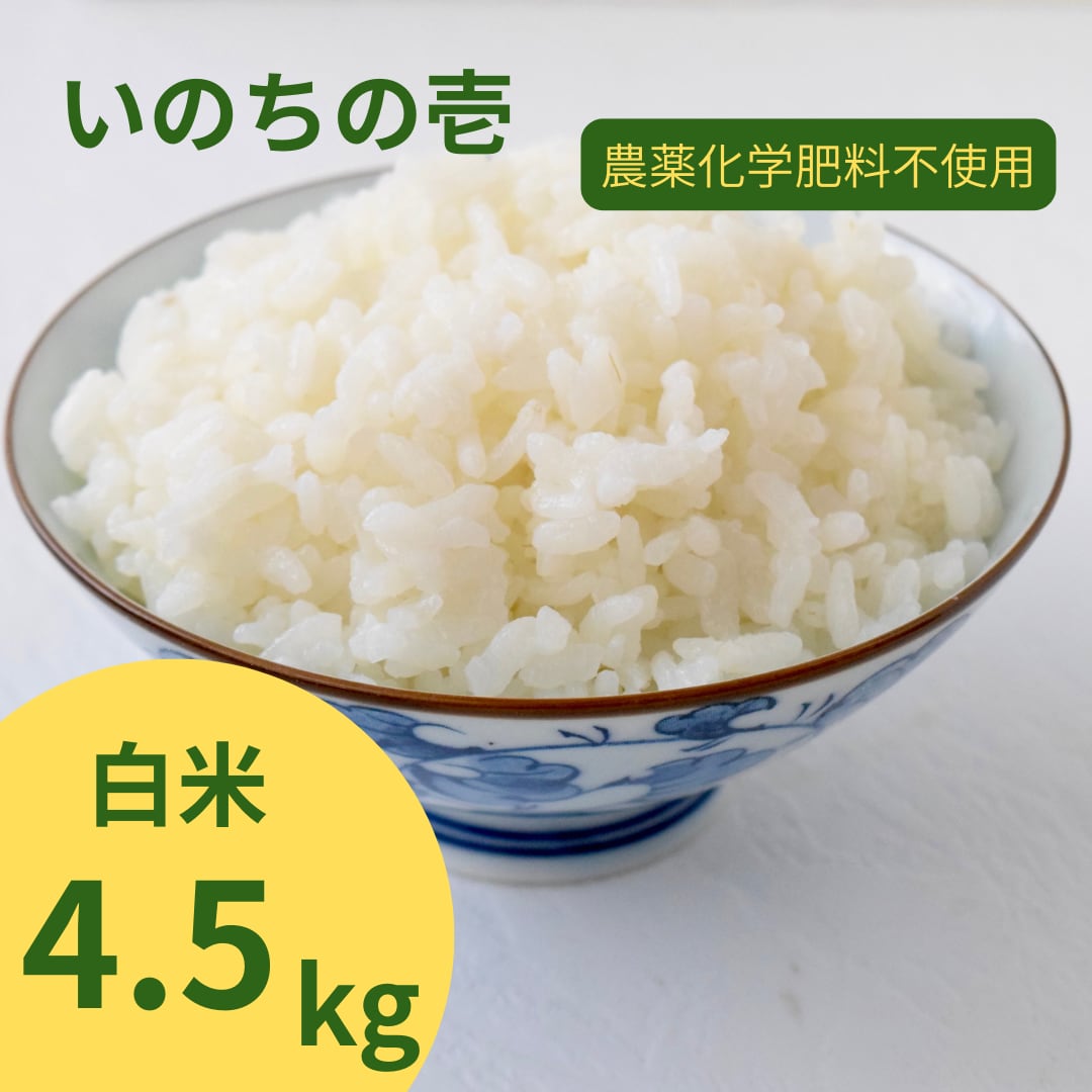 令和7年産】いのちの壱・白米4.5㎏（農薬化学肥料不使用）×1袋 | 鮭農園