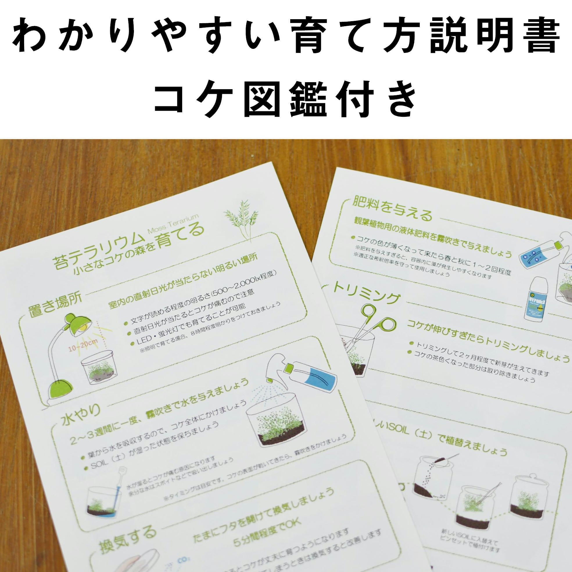 teru3　コケ各種4.5パレットとカサゴケ　15本×2パック teru3コケ各種7.5パレット他カサゴケ15本2P、ホウオウゴケL 1P teru3