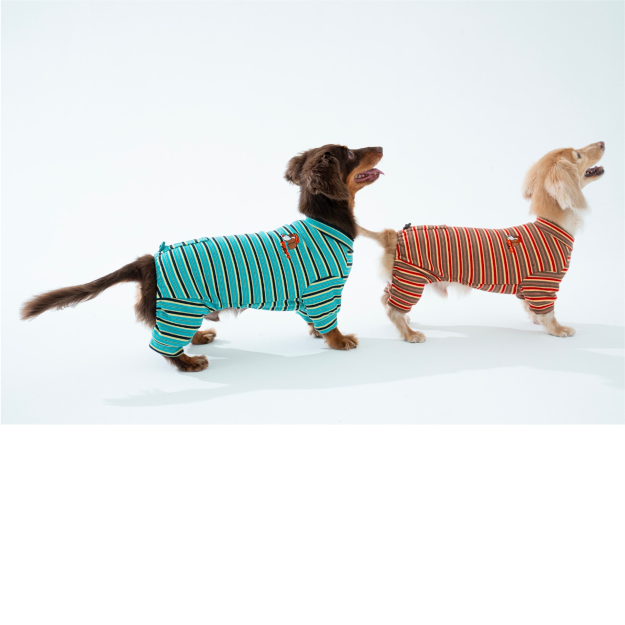 【puppygallery公式】 Homeground all-in-one M-XL