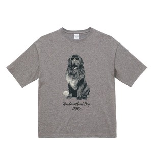 ニューファンドランド　ビックシルエットTシャツ