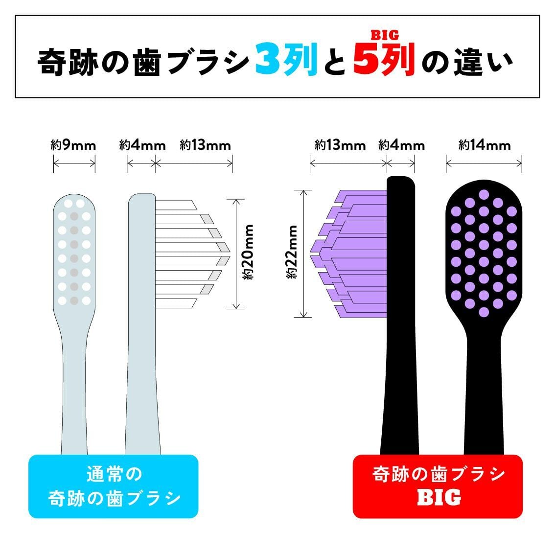 □正規品□ まとめ買いでお得！【6本セット】 奇跡の歯ブラシ BIG