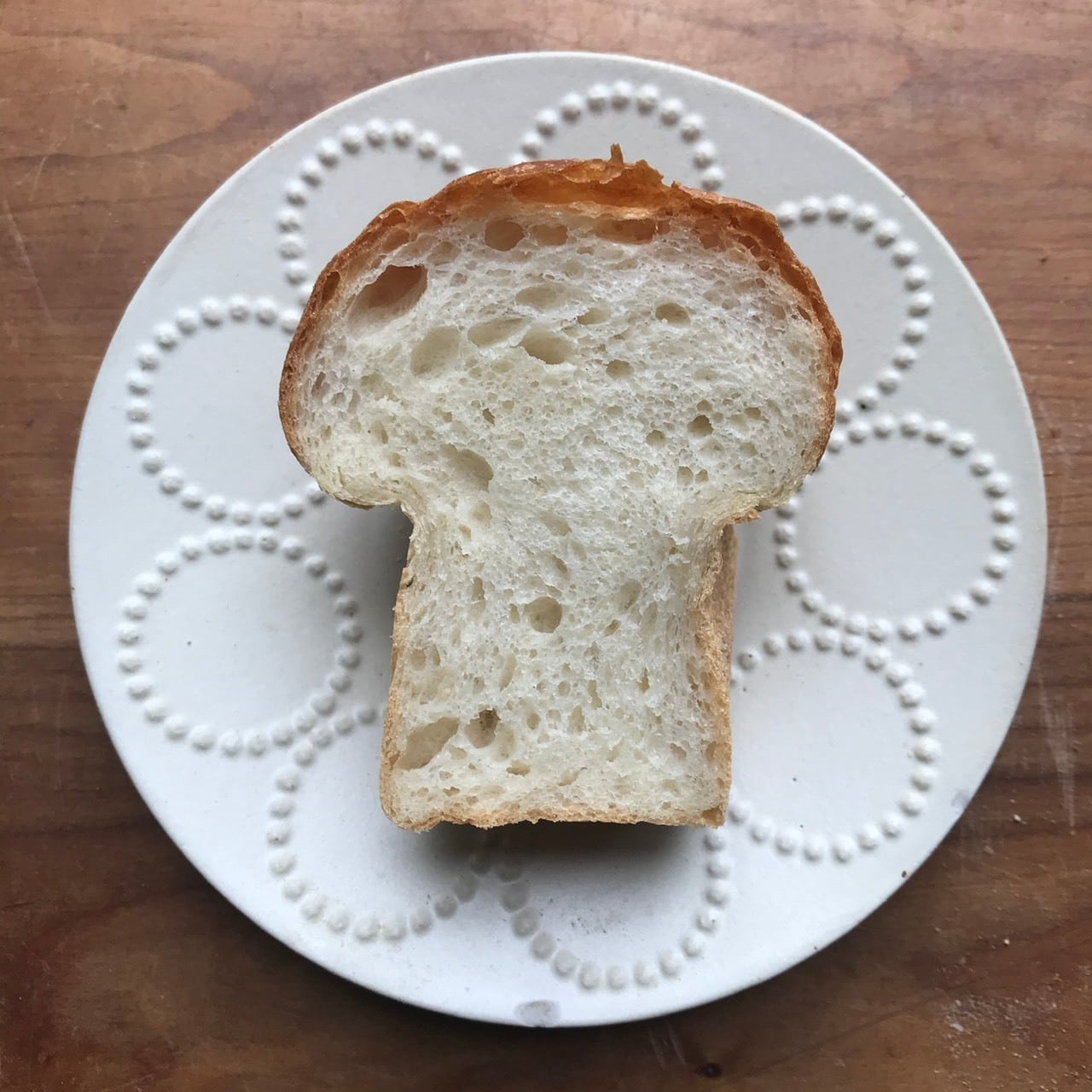 【4/26までに発送】let's try!