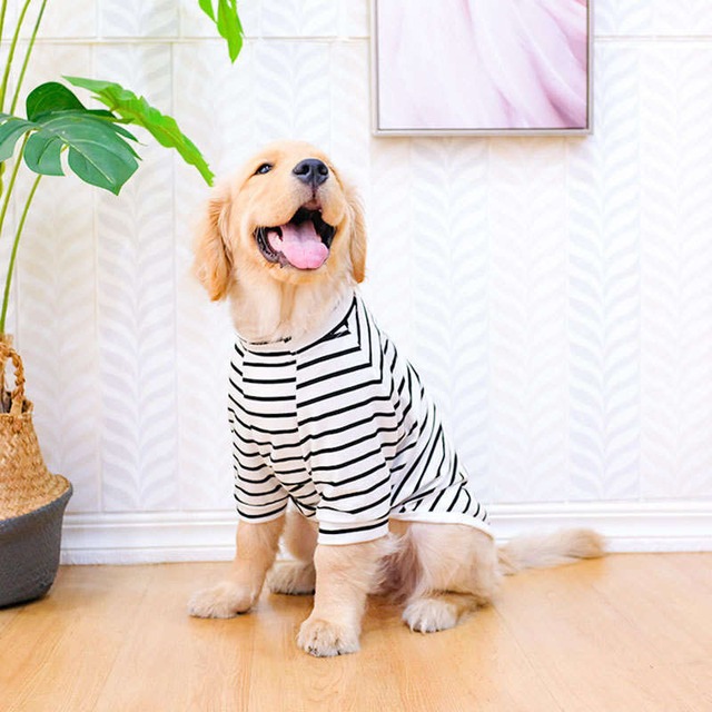 犬の洋服　犬服　タンクトップ　仔犬　cool  ゴールデンレトリバー
