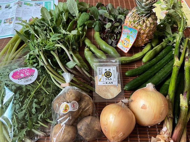 【完売御礼】ベジバルーンセット6月（水無月）『芒種の候　梅雨を乗りきれ元気いっぱい野菜たち』※写真は５月に出荷したベジバルーンです。
