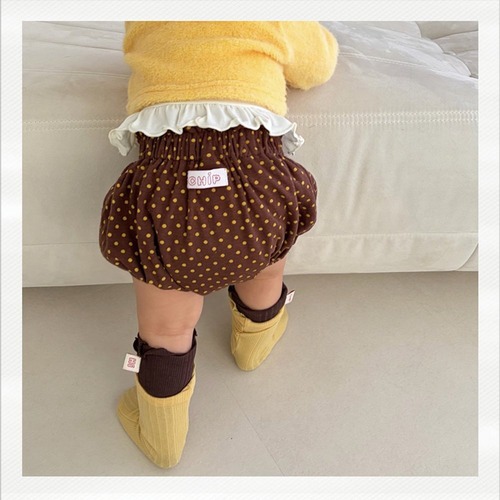 CHIP「取寄］bangwul bloomer 26autumn