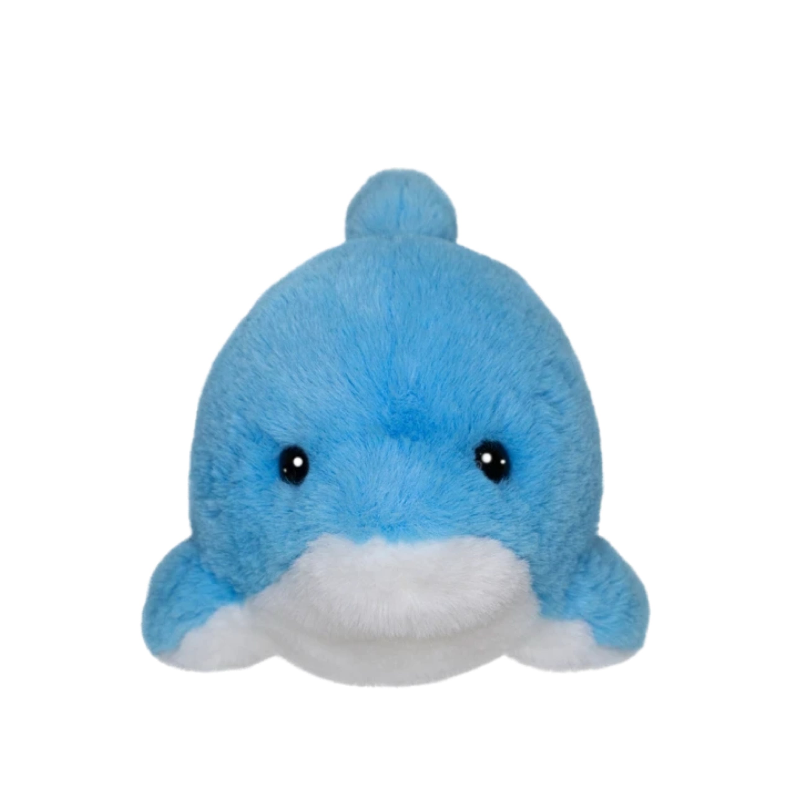 再入荷未定】ふわふわマリン イルカぬいぐるみ Mサイズ | ﾌｧﾝｼ~ｼｮｯﾌﾟ