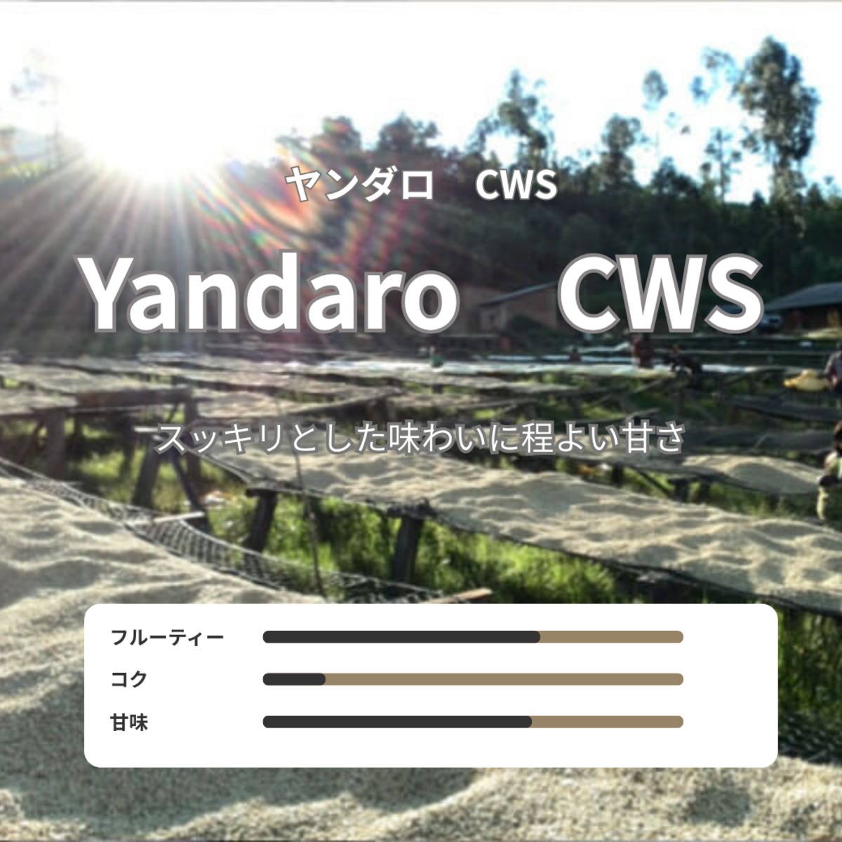 ブルンジ ヤンダロCWS 浅煎り