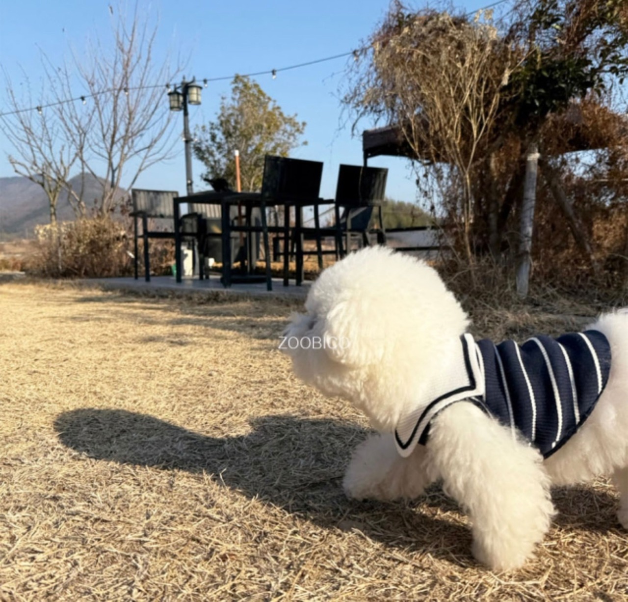 【ZOOBICO】ハートチャーム付きマリンTシャツ