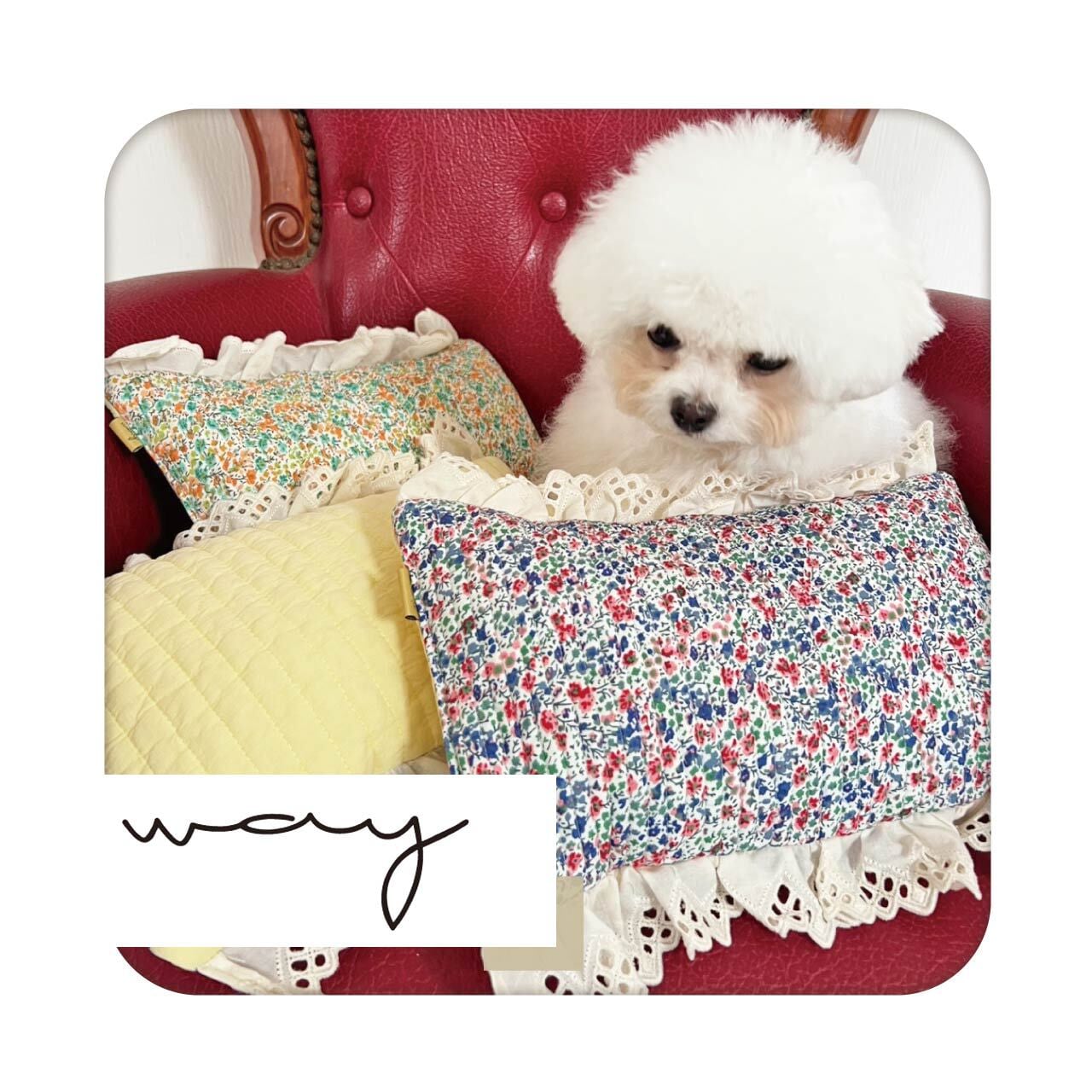 韓国イブルのスクエアクッション【Way_Collection】（ ペット