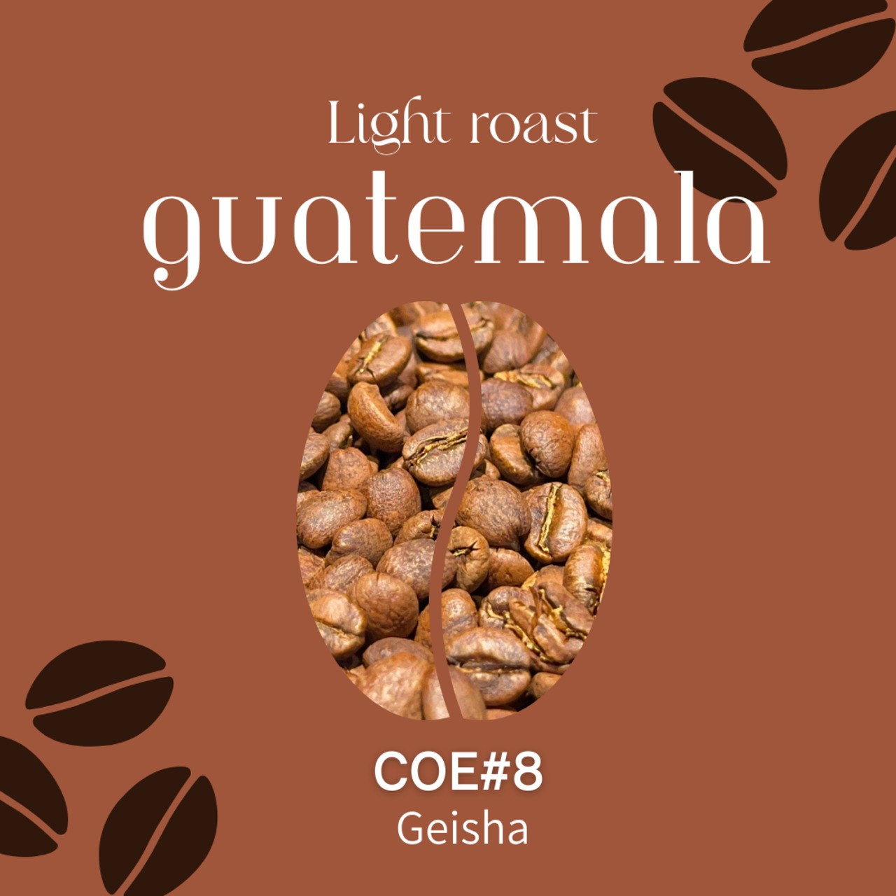 【グアテマラ】COE#8 Geisha Washed｜Light Roast-100g