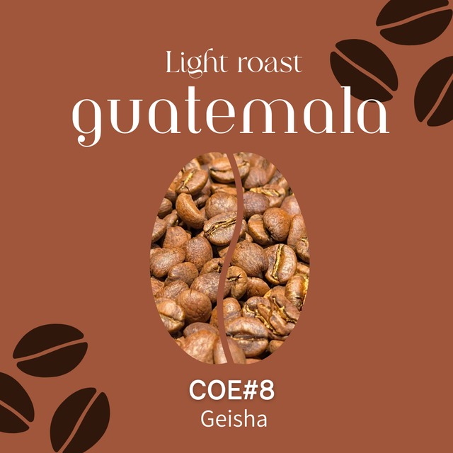 【グアテマラ】El Zapote Pacamara Natural｜Light Roast-100g