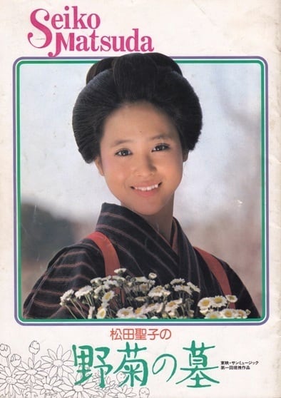 野菊の墓 映画 パンフレット(中古) | tomonet3858