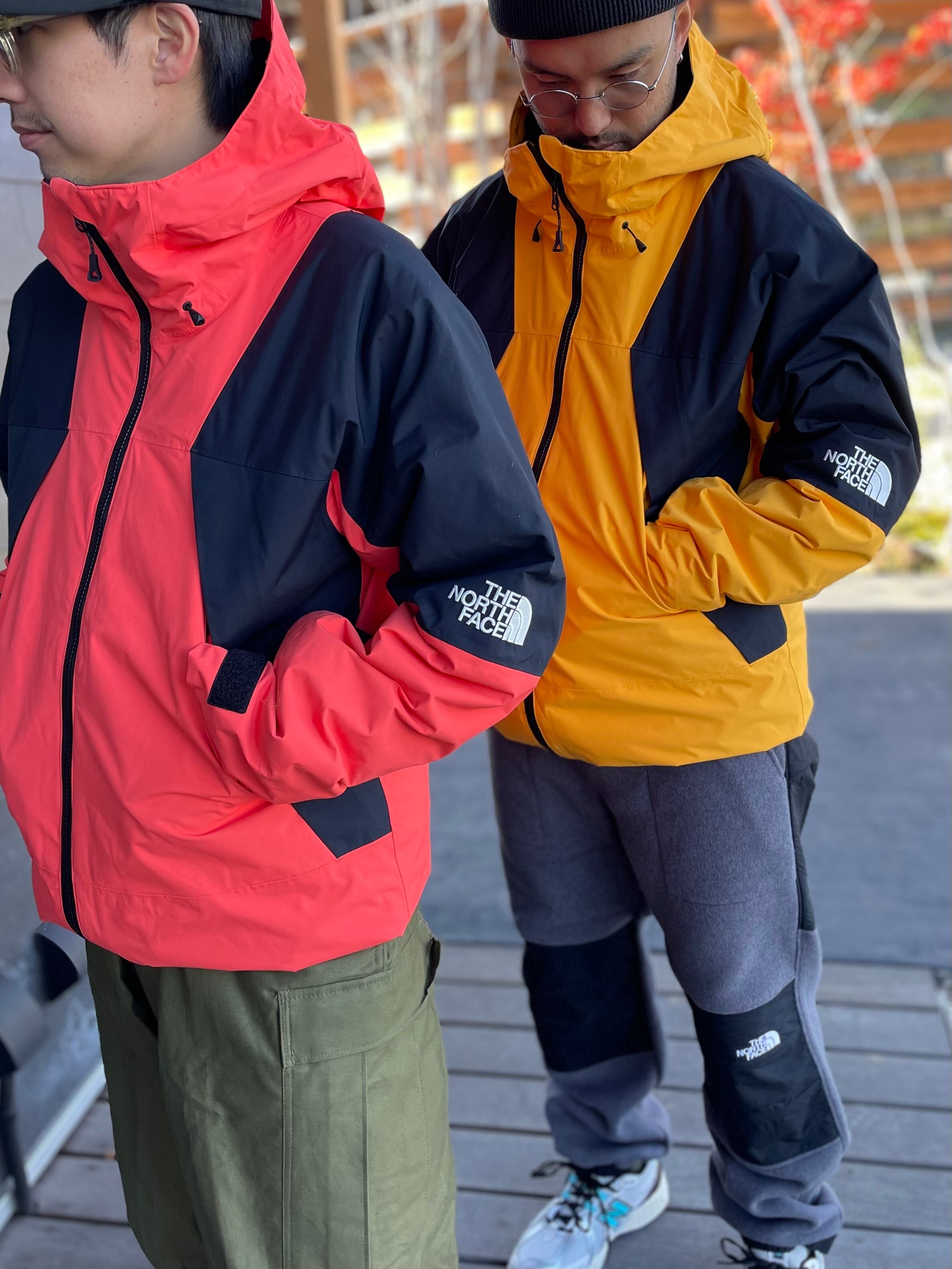 THE NORTH FACE【Snowbird Triclimate Jacket】 | LARGE LAB TOWN