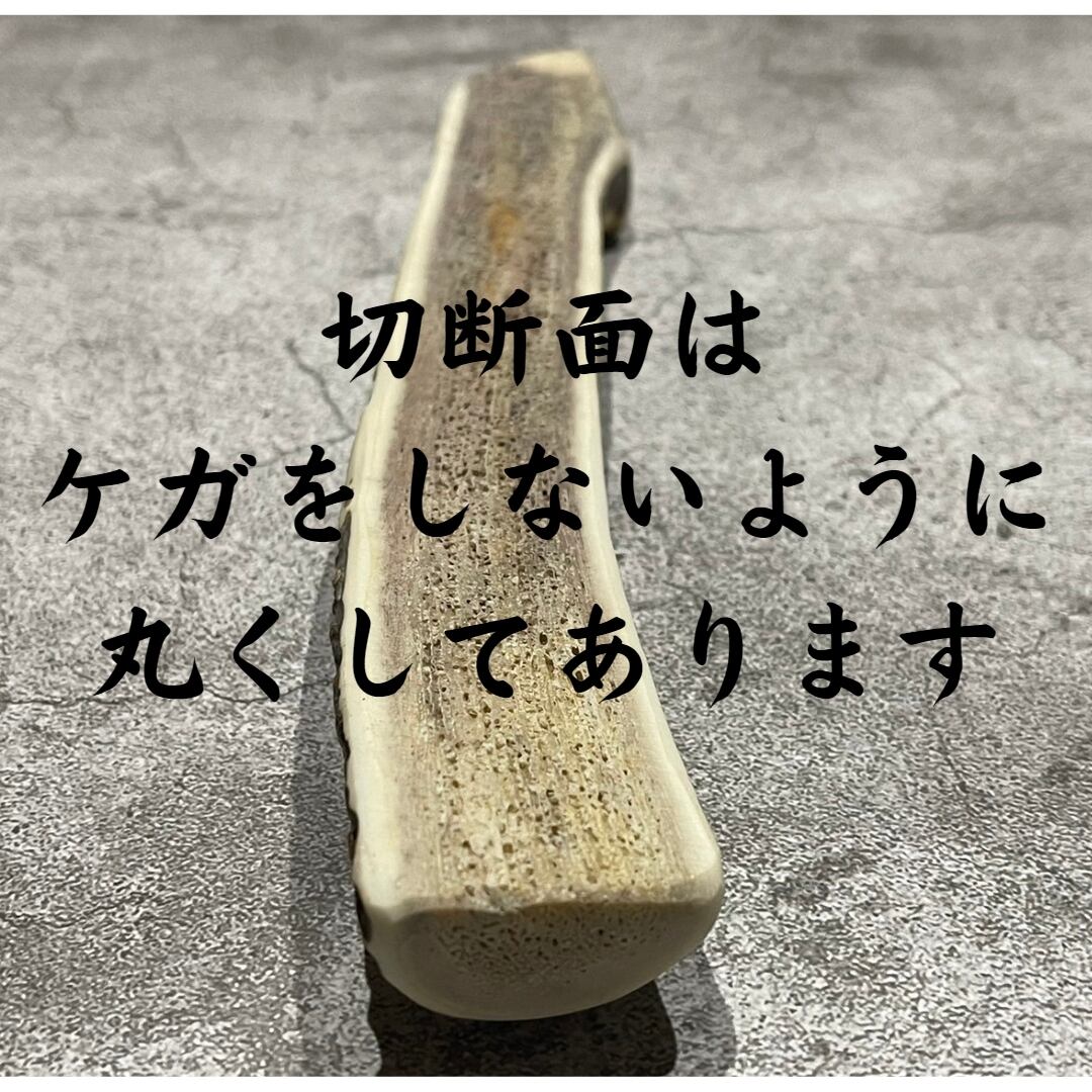 送料無料】北海道産蝦夷鹿の角 15㎝ 四つ割り 1本 犬のおやつ おもちゃ