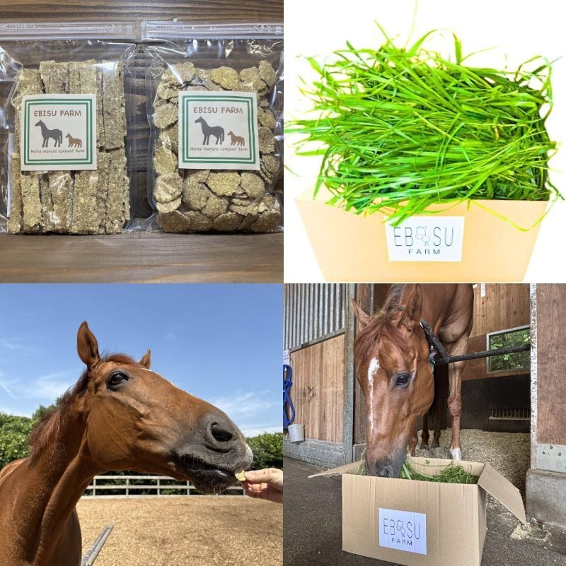 EBISU FARM【牧草 & 馬用クッキーセット】季節の牧草 MIX 6Kg ＆ 馬用