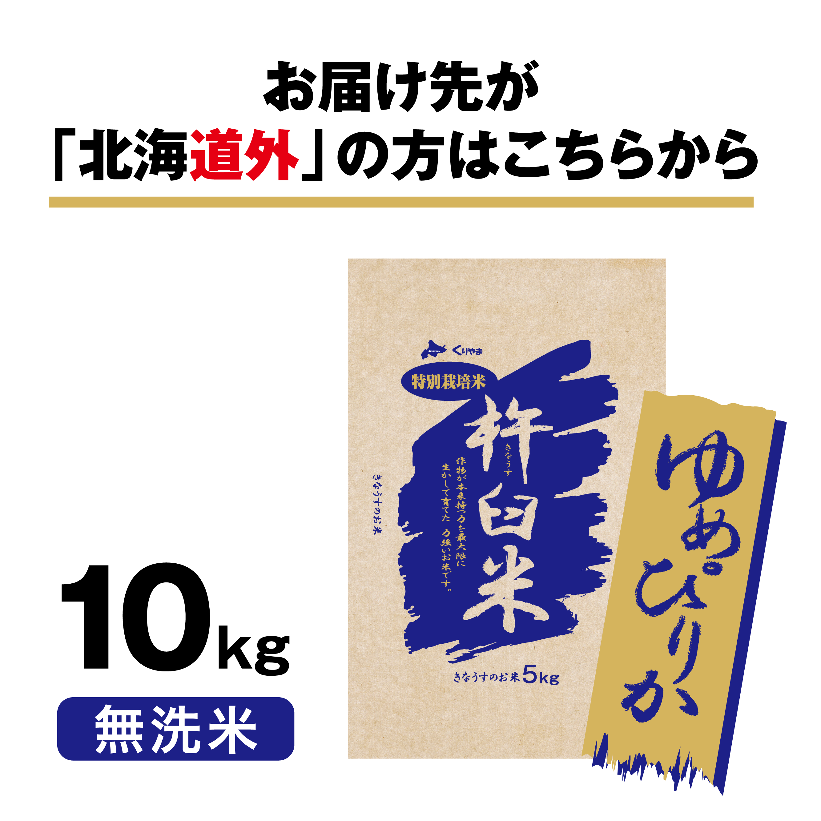 ゆめぴりか10kg（無洗米）　特別栽培米　北海道きなうすファーム　北海道栗山町きなうすファーム通販サイト