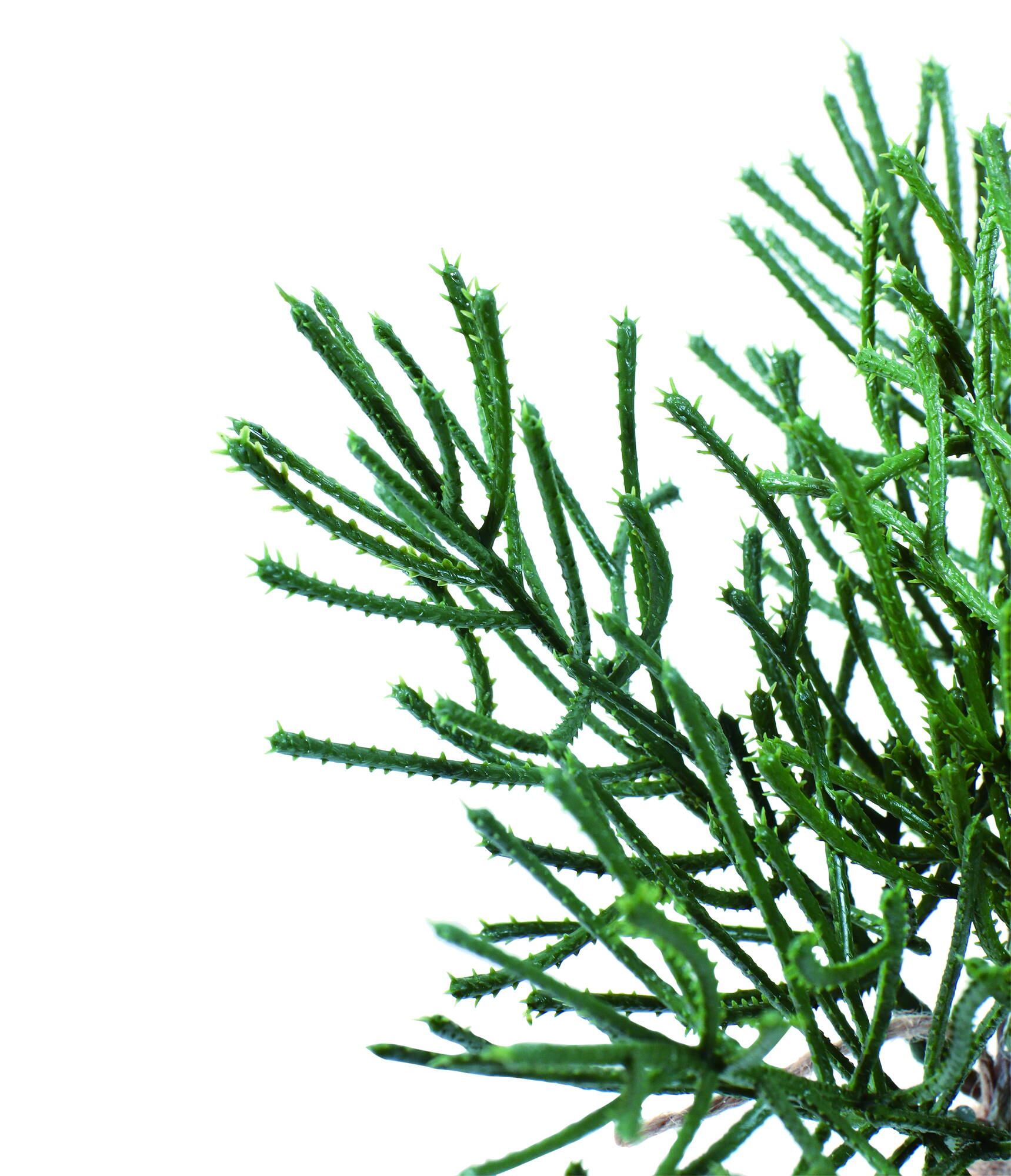 マウンテンパインバンドル　　FG-5185GR　4961823412202　造花（アーティフィシャルフラワー） > 定番造花グリーン（素材）