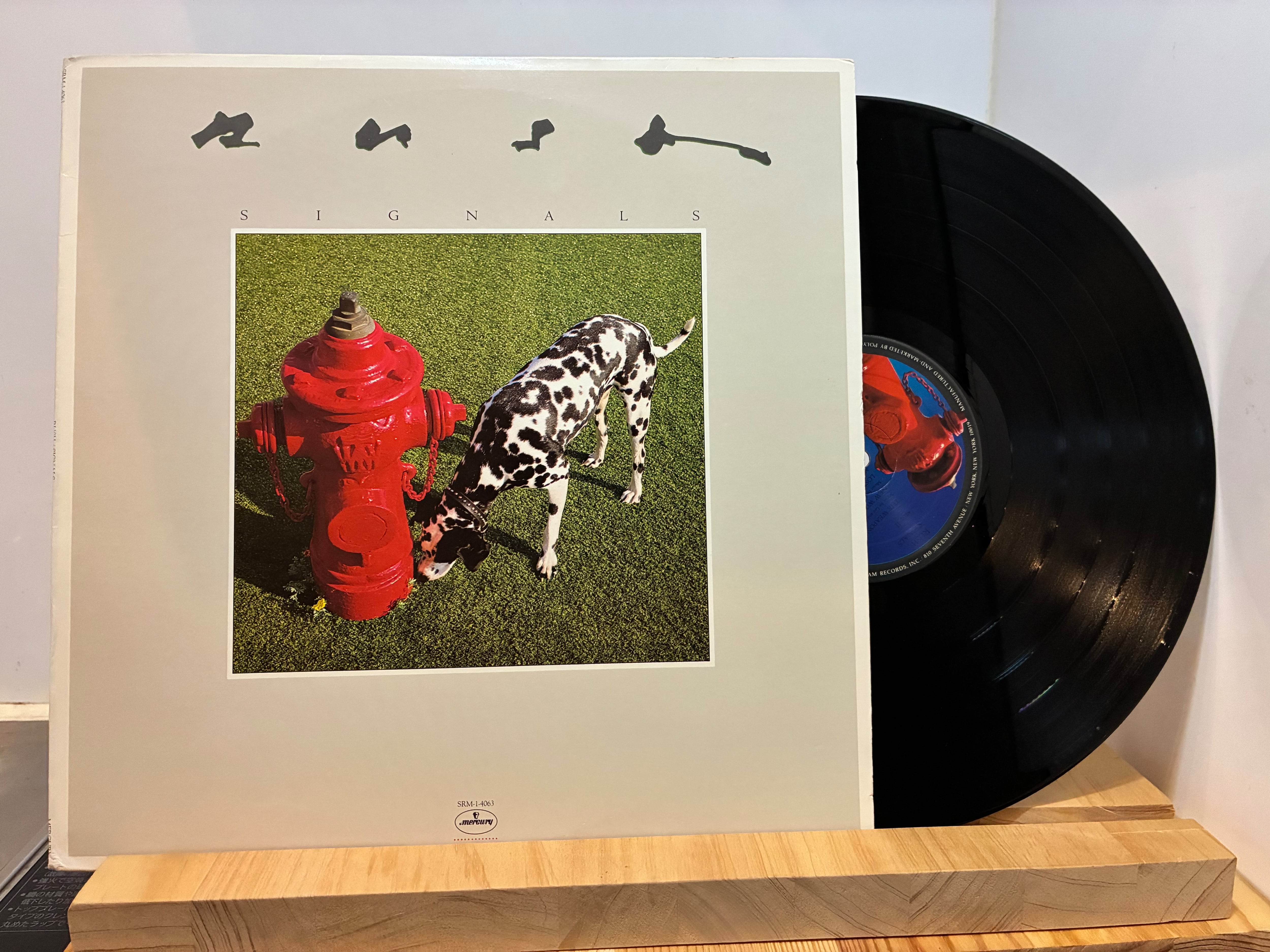 山口百恵 / 絶唱 | sixteen records (シックスティーンレコード)