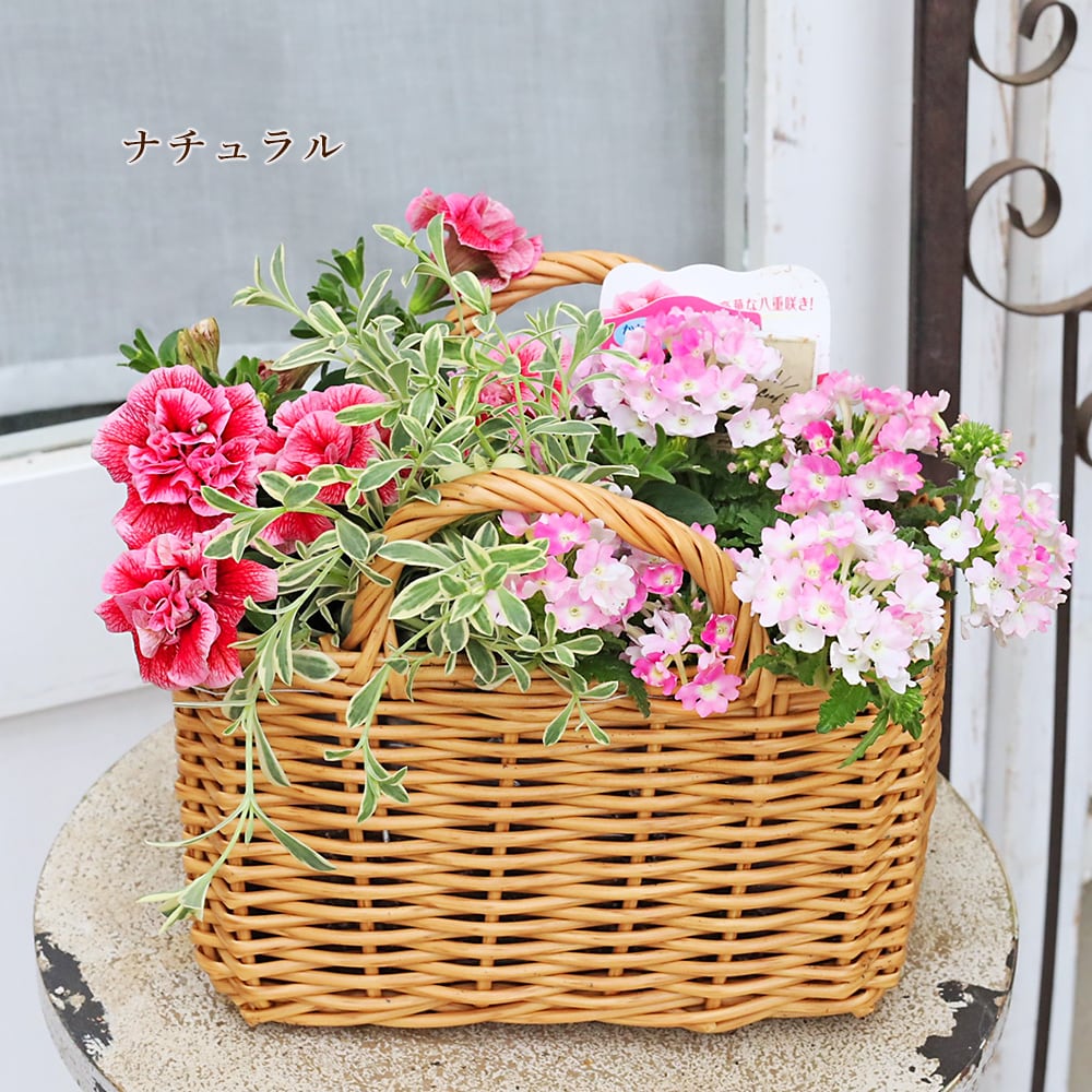 季節の花 寄せ植え おまかせ バスケット スクエア natural/brown