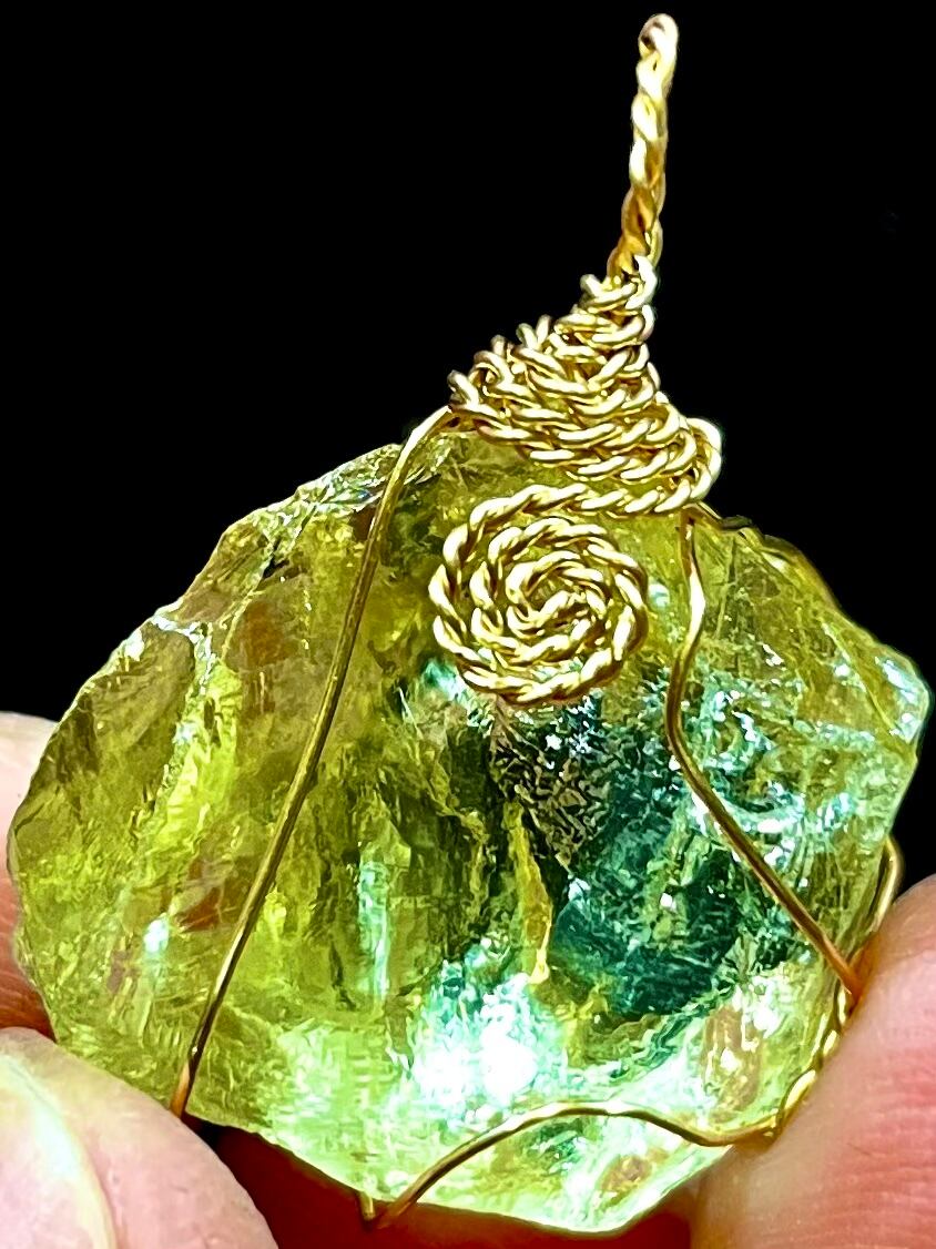 13) 変化・変容「オウロベルデ」ワイヤーPT