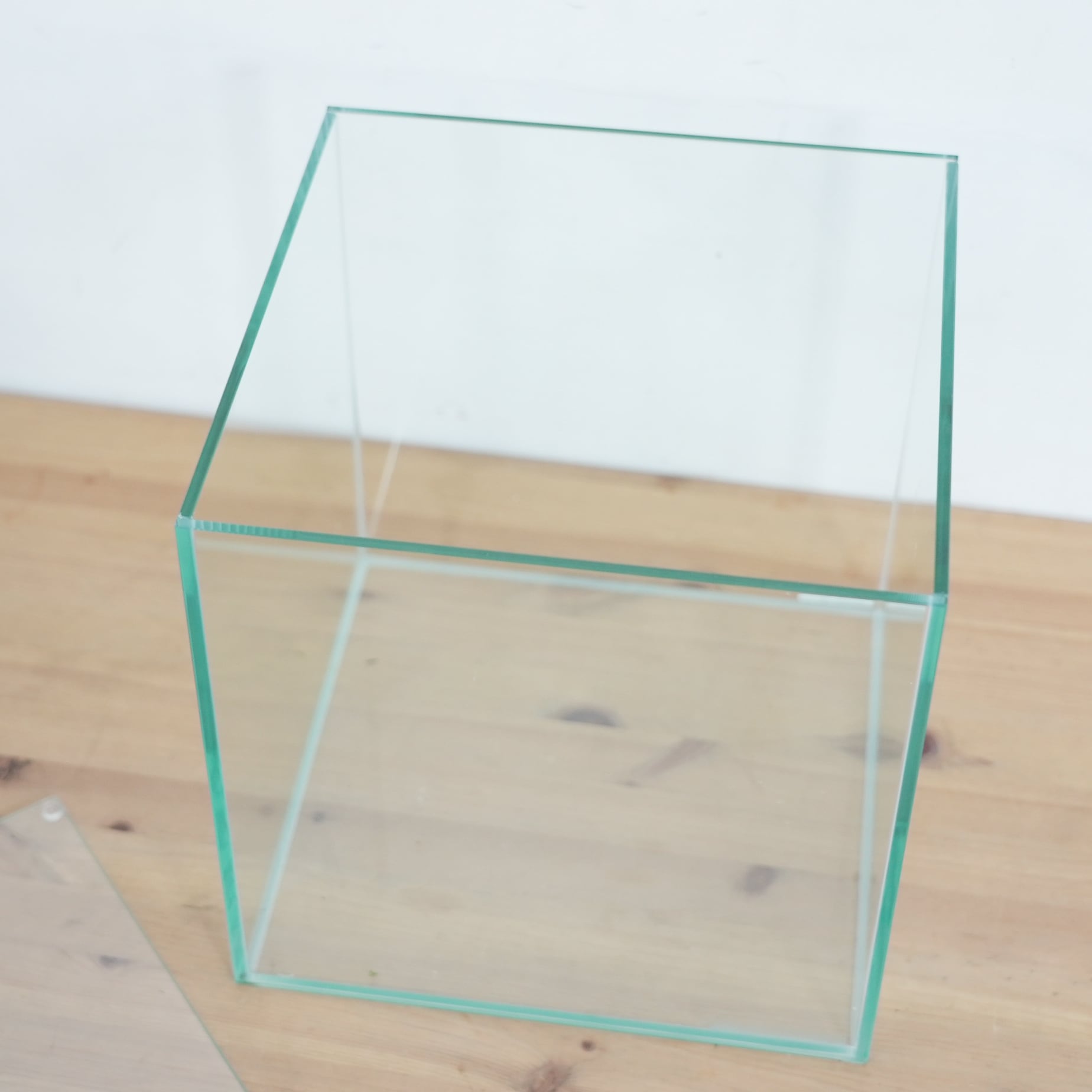 ガラス容器】 苔テラリウム用 25cmCUBEガラス水槽 （250x250xh250mm