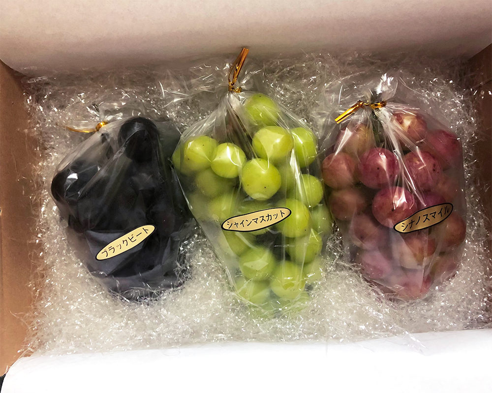 【ご自宅用・送料込】葡萄の定期便(シャインマスカット、赤葡萄・黒葡萄/全3種類以上)