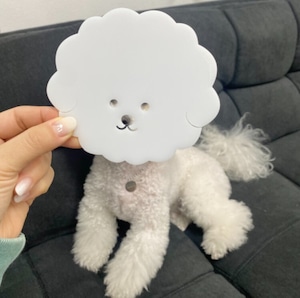 予約【TKNN】Bichon Coaster