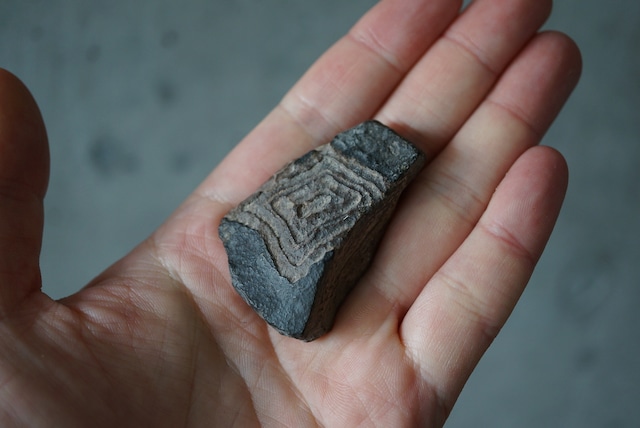 ツェサイト Tsesite 952