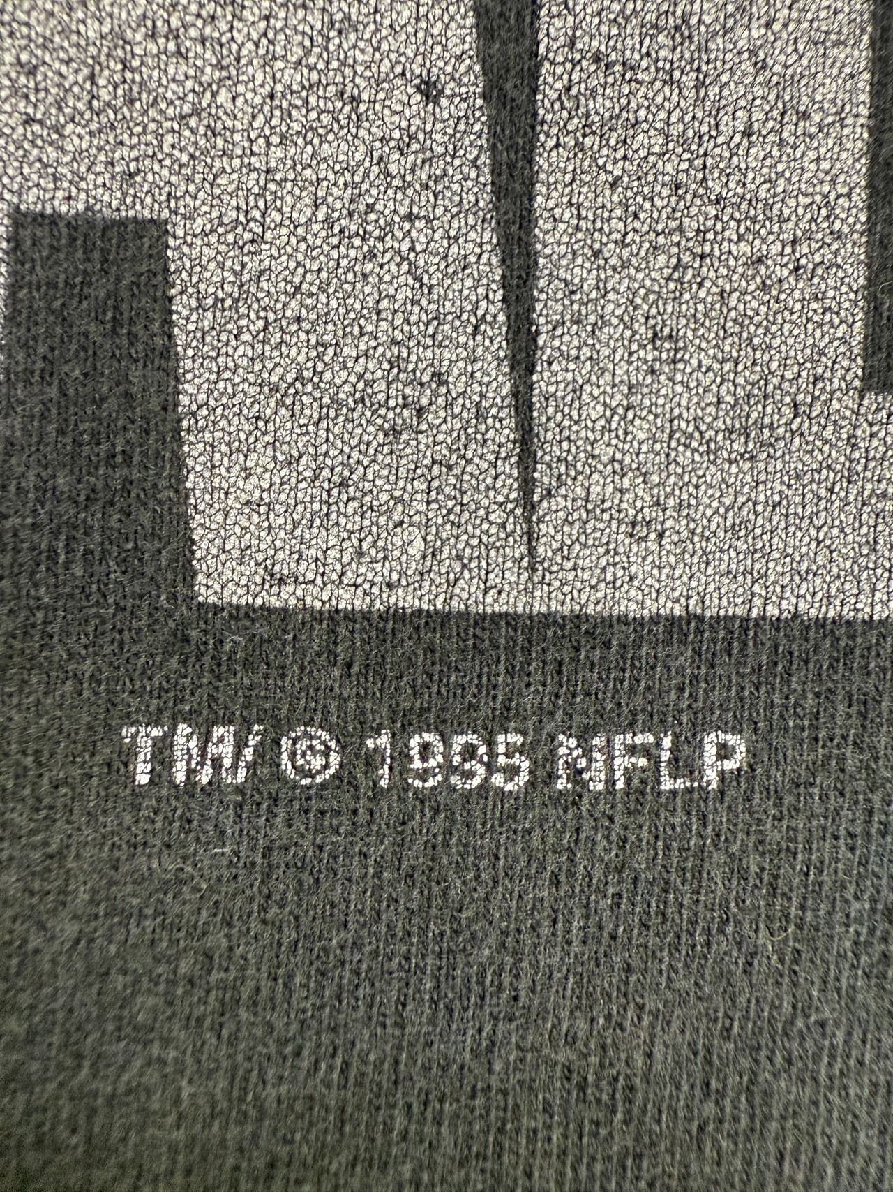 1995 OAKLAND RAIDERS / SALEM SPORTS WEAR made in usa・画像5