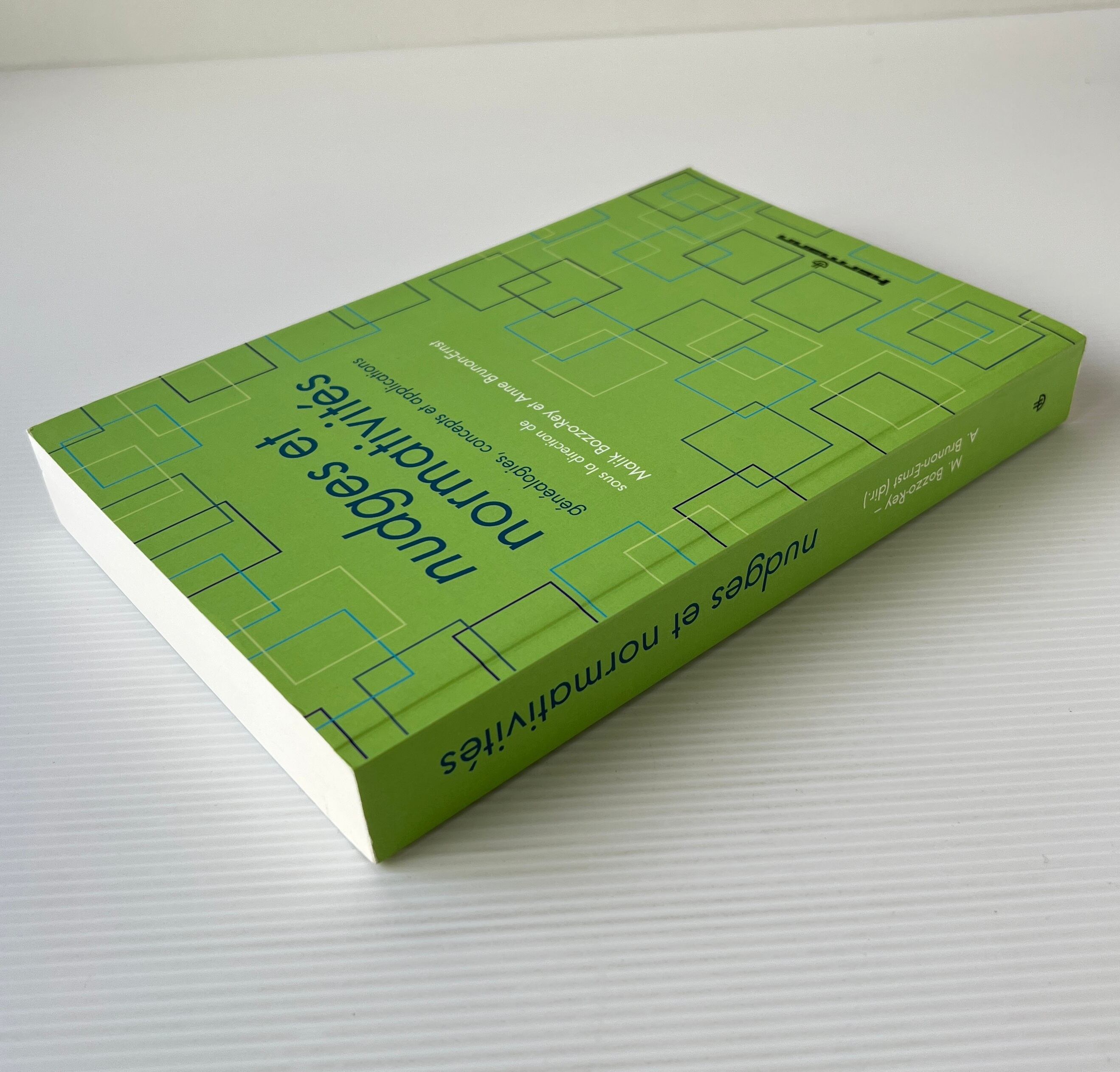 Nudges et Normativites: Genealogies, Concepts et Applications / Malik Bozzo-Rey et Anne Brunon-Ernst / Hermann