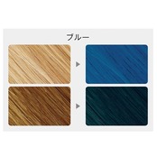 Anna Donna アンナドンナ エブリ カラーフォームシャンプー<ブルー>