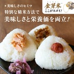 令和6年産　島根県産金芽米きぬむすめ 10キロ(5kg×2) 送料込み