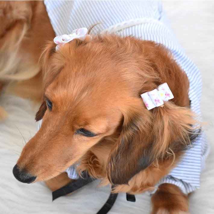 犬 ヘアアクセサリー リボン ヘアゴム 8点セット 髪飾り F ナチュラル Hapi Co