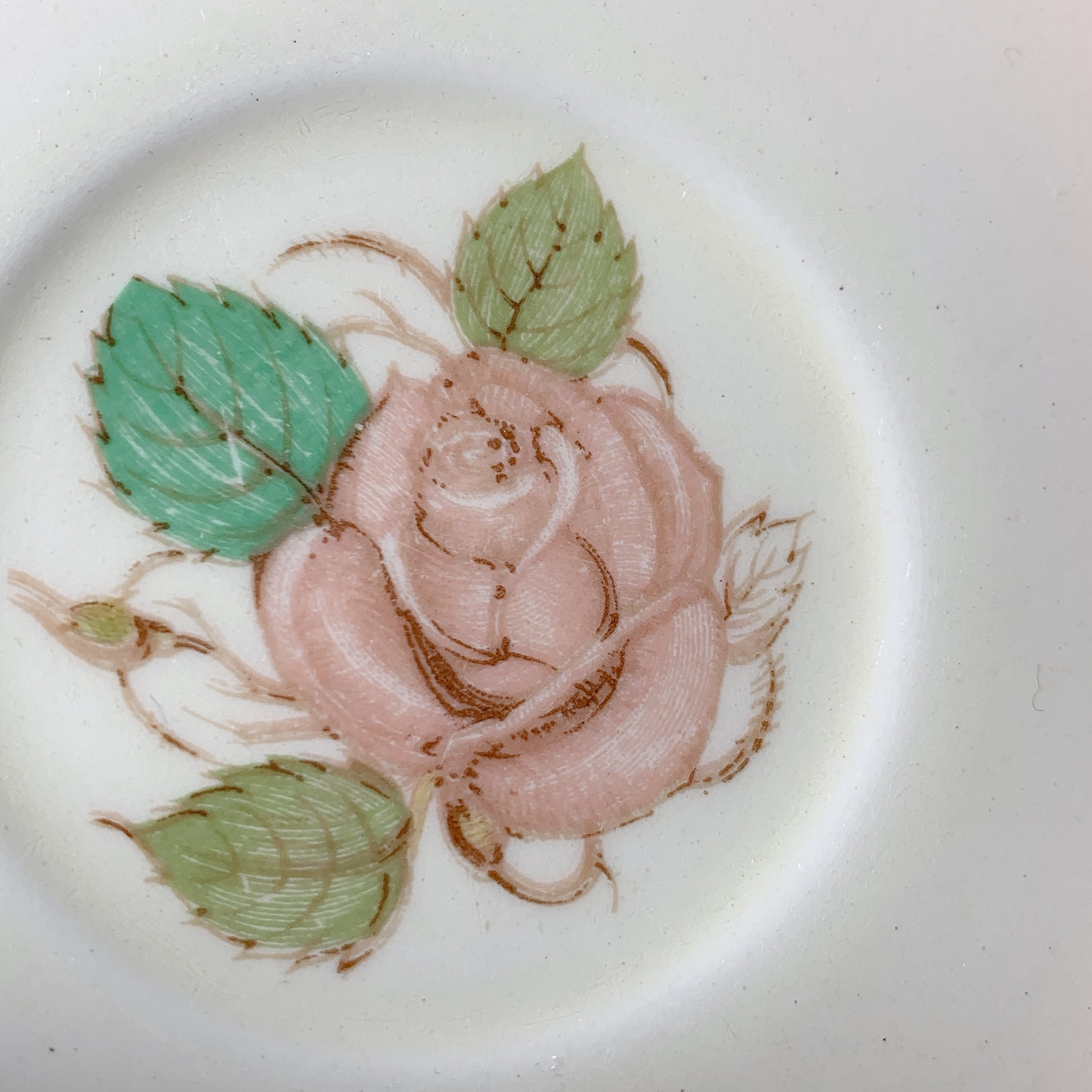 スージークーパー パトリシアローズ カップ＆ソーサー(ピンク) B