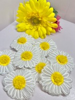 Love of the Daisy Hairpin