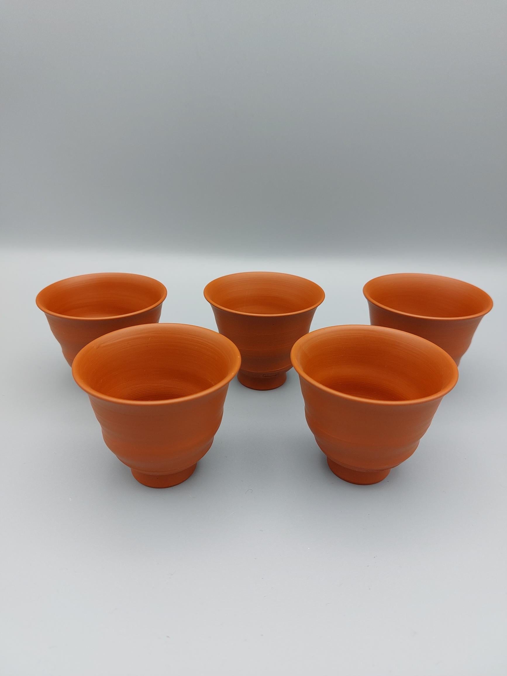 【最終値下げ】村越風月● 常滑焼 朱泥 茶器揃 急須 湯呑 十客 共箱 煎茶器 常滑焼 村越風月作 朱泥煎茶碗5客組 | kyuusuchaki